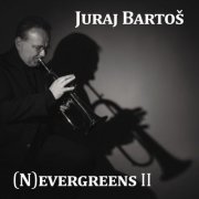 Juraj Bartos - (N)evergreens II (2024)