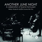 Niklas Walentin & The Snorre Kirk Trio - Another June Night (2025) [Hi-Res]