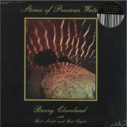 Barry Cleveland - Stones of Precious Water (2020) [Hi-Res]