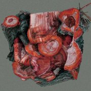 Valucre - Spore (2026) Hi-Res