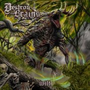 Destroy My Brains - Wilt (2026)