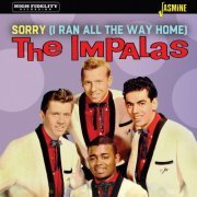 The Impalas - Sorry (I Ran All the Way Home) (2021)