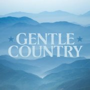 VA - Gentle Country (2024)