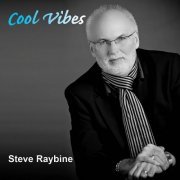 Steve Raybine - Cool Vibes (2016)