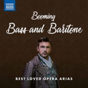 VA - Booming Bass and Baritone: Best Loved Opera Arias (2021)