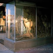 Tuxis Giant - You Won’t Remember This (2025) Hi-Res