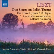 Voytek Proniewicz, Wojciech Waleczek - Liszt: Works for Violin & Piano (2014) [Hi-Res]