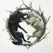 Stellar Circuits - Phantom :: Phoenix (2025) Hi-Res