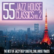 VA - 55 Jazz House Classics Vol. 2  (The Best of Jazzy Deep Soulful Chillhouse Tracks) (2019) flac