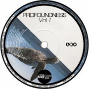 VA - Profoundness, Vol. 1 (2024)