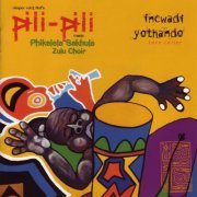 Jasper van't Hofs Pili Pili - incwadi Yothando / Love Letter (2000) flac