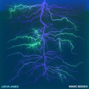 Leifur James - Magic Seeds II (2025)