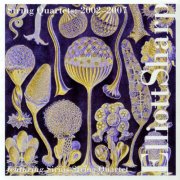 Elliott Sharp - String Quartets: 2002 - 2007 (2008)