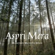 Brasschaats Mandoline Orkest - Aspri Mera (2021)