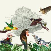 Friendly Rich - The Birds of Marsville (2025) [Hi-Res]