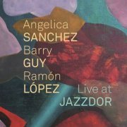 Angelica Sanchez, Barry Guy and Ramon Lopez - Live at Jazzdor (2024) [Hi-Res]