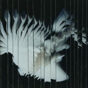 Scaler - Endlessly (2025)