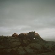Bella White - A Sign In The Weather (2026) [Hi-Res]