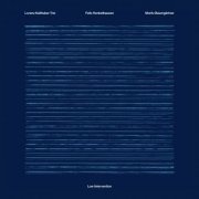 Lorenz Kellhuber Trio - Low Intervention (2024) [Hi-Res]