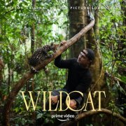 Patrick Jonsson - Wildcat (Amazon Original Motion Picture Soundtrack) (2022) [Hi-Res]