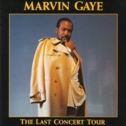 Marvin Gaye - The Last Concert Tour (1991)