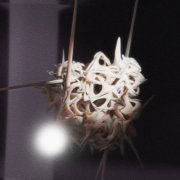 I7hvn - Augury (2025)