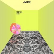 Medeski, Scofield, Martin & Wood - Juice (2014) [Hi-Res]