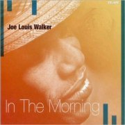 Joe Louis Walker - In The Morning (2002) [CD Rip]