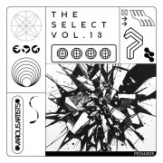VA - The Select Vol.13 (2026)