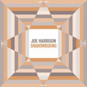 Joe Harrison - Shadowboxing (2023)