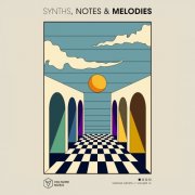 VA - Synths, Notes & Melodies Vol. 14 (2025)