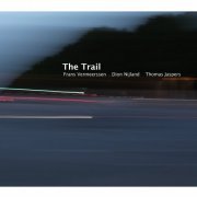 Frans Vermeerssen Trio - The Trail (2023)