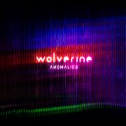 Wolverine - Anomalies (2026) Hi-Res