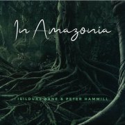 Isildurs Bane & Peter Hammill - In Amazonia (2019)