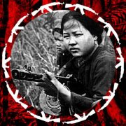 Soeneido - Jungle Guns (2025)