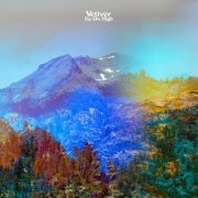 Vetiver - Up On High (2019) [Hi-Res]