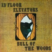 13th Floor Elevators - Bull Of The Woods (1969) LP