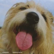 Songdog - Mirabilia Mundi (2025)