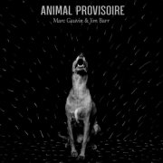 Marc Gauvin - Animal provisoire (2026) Hi-Res