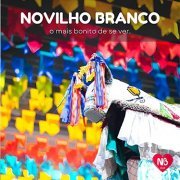 BOI NOVILHO - Boi Novilho Branco 2022 (2022) Hi-Res