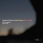 Di gennaro sergio, Enzo Zirilli, Ares Tavolazzi - Blind Spots - Still Looking (2026) [Hi-Res]