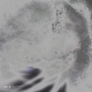 Peryl - Phase Alternations (2026)