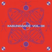 VA - Abundance Vol. 3 (2024)