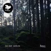 Erland Dahlen - Bones (2020) Hi Res