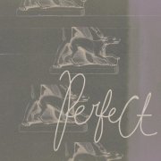 Immaterialize - Perfect (2026)