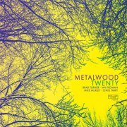 Metalwood - Twenty (2016) flac