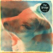 The Dredge - Torches (2024) Hi Res