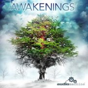 Audiomachine - Awakenings (2012)