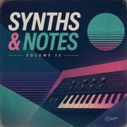 VA - Synths & Notes Vol. 12 (2026)