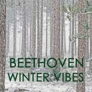 VA - Beethoven - Winter Vibes (2021)